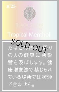 画像1: ブラックスパイダー　トロピカルメンソールシャグ BLACKSPIDER TOROPICAL MENTHOL SHAG (1)